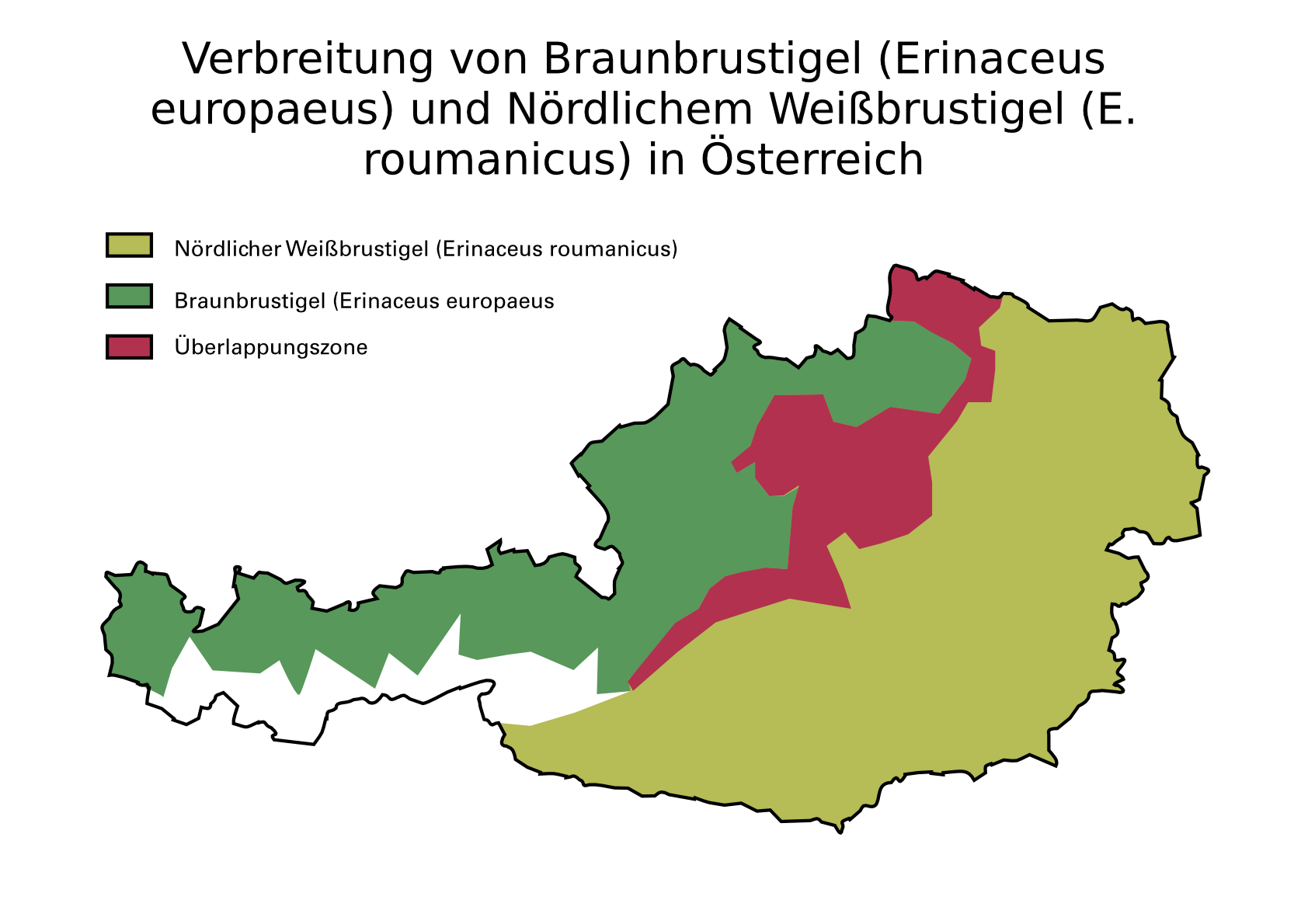 Verbeitung von Brunbrustigel und Nördlichem Weißbrustigel in Österreich ©apodemus